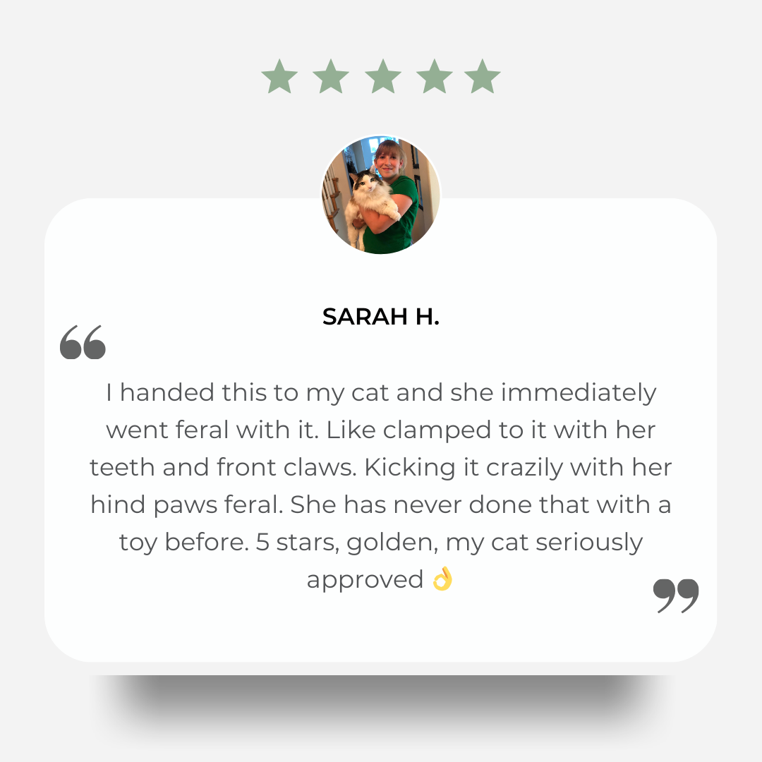 Kiddle™ Catnip Pillow