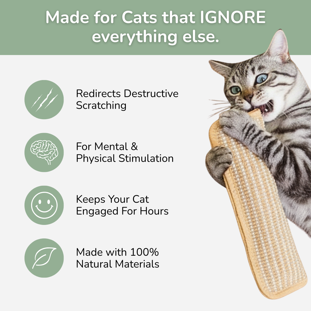 Kiddle™ Catnip Pillow