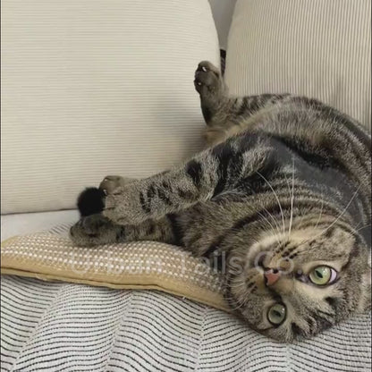 Kiddle™ Catnip Pillow